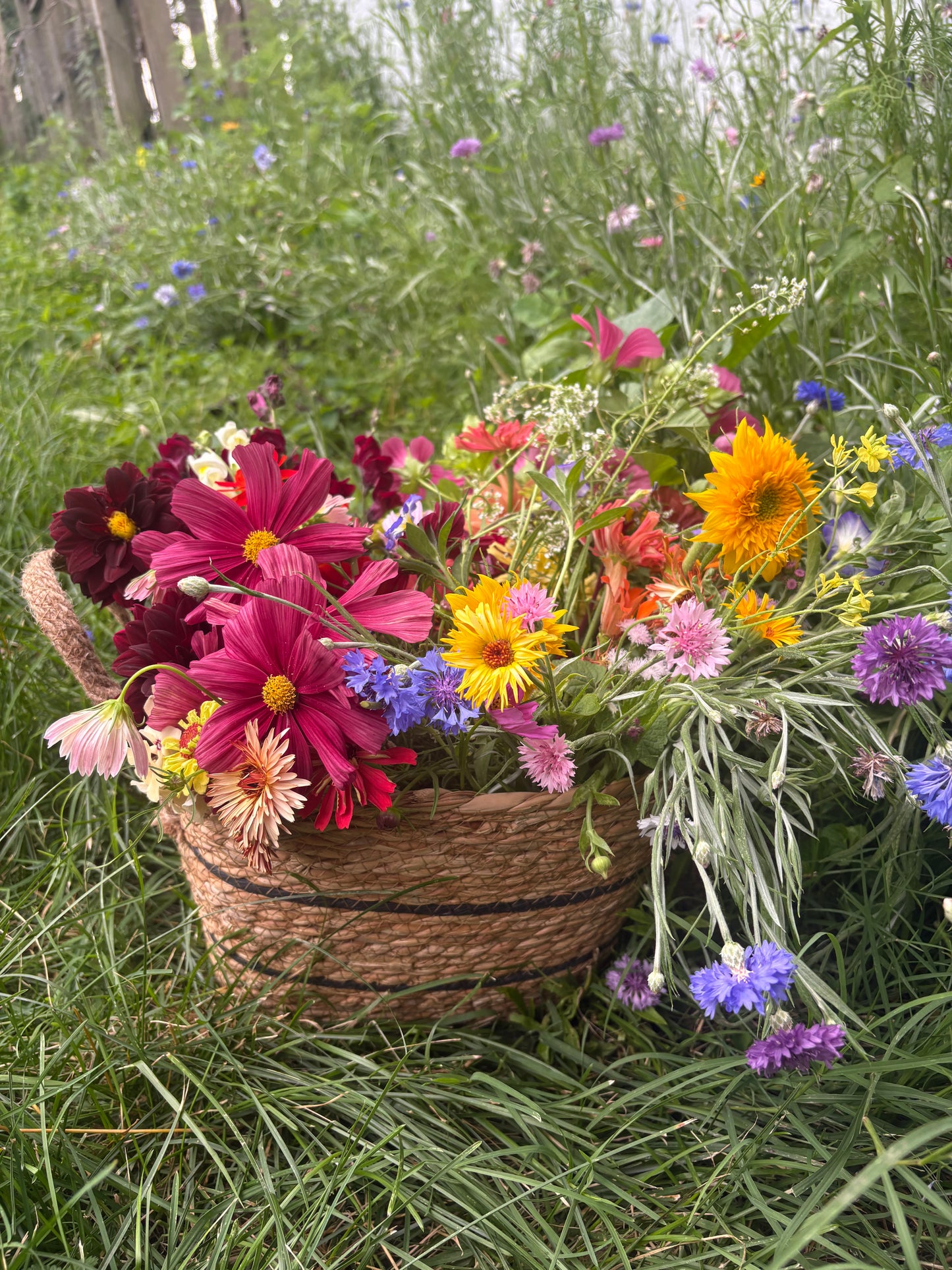 Fresh Cut Flower Bouquets